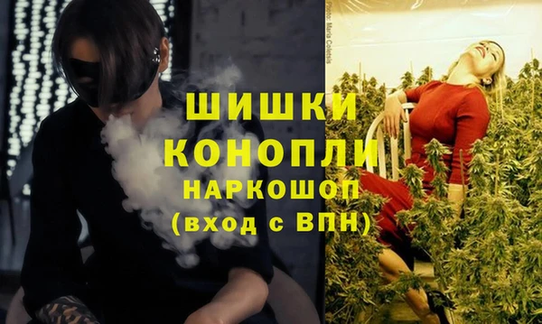 дмт Володарск