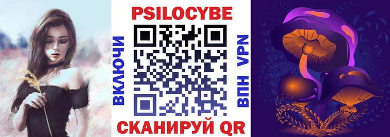 как найти закладки  Староминская  Псилоцибиновые грибы Cubensis 